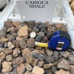 Carioca Shale (Mesquite).