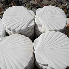 Shell Stepping Stones, 18-19”.